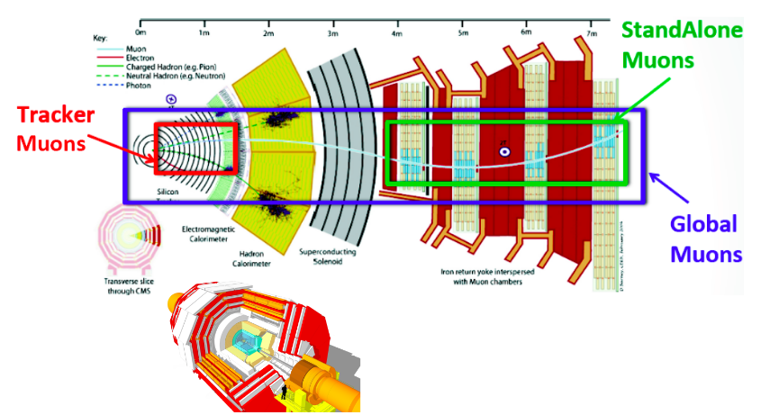 Muons identification